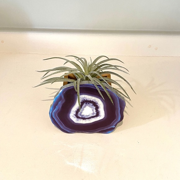 Home decor with artificial plant - Picture 2 of 5